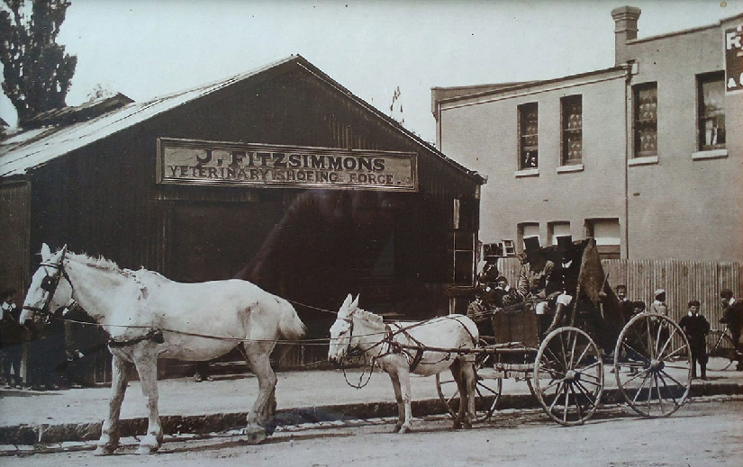 1909 A horse and donkey hitched to a wagon taking part on the Jubilee Celebrations South Canterbury Museum 2755