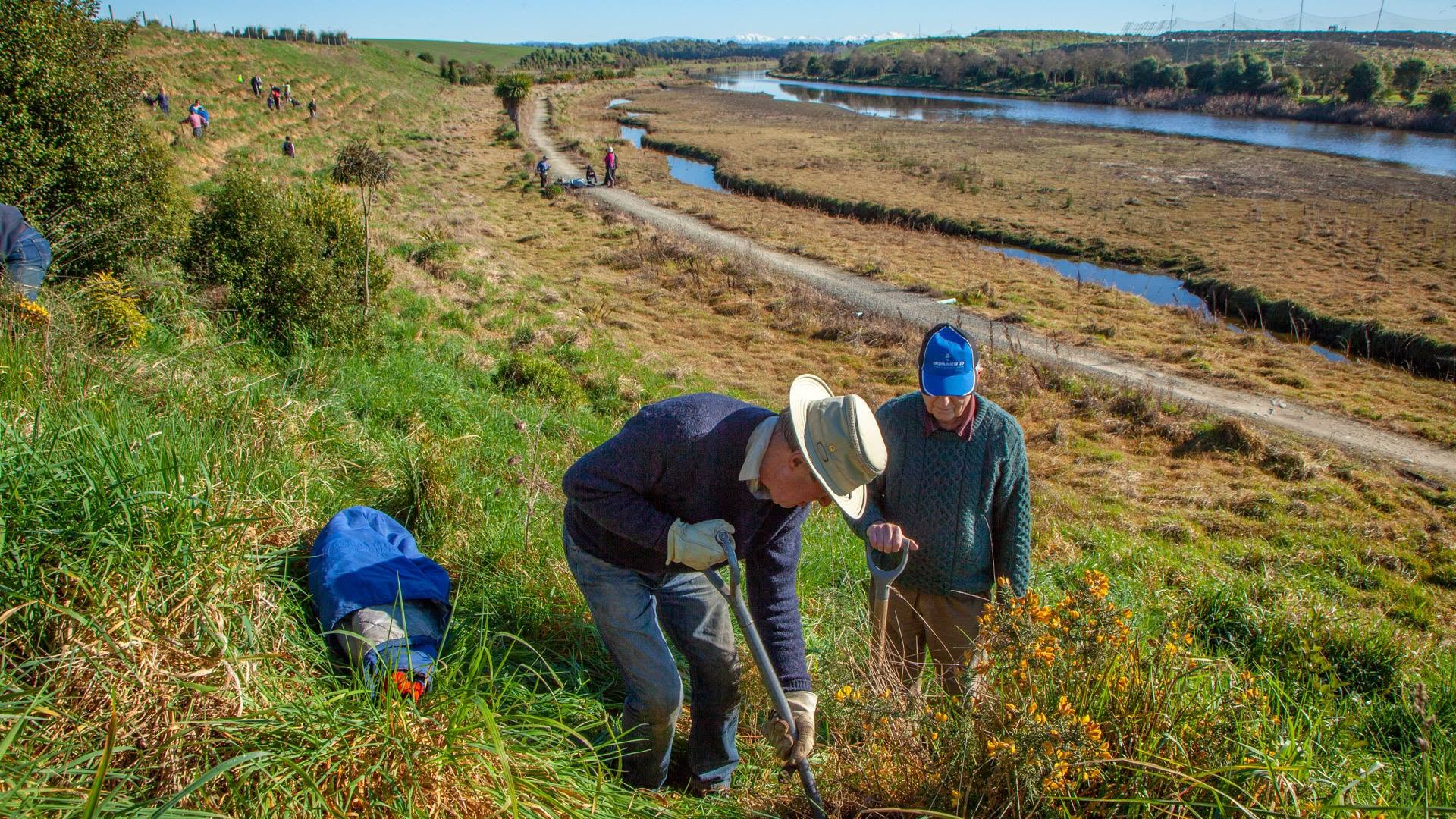 500 native grasses shrubs and trees planted at the Otipua Wetlands Eight from the Boys Brigade 3rd Timaru joined 16 Rotary Club members Aug 2018 Geoff Cloake