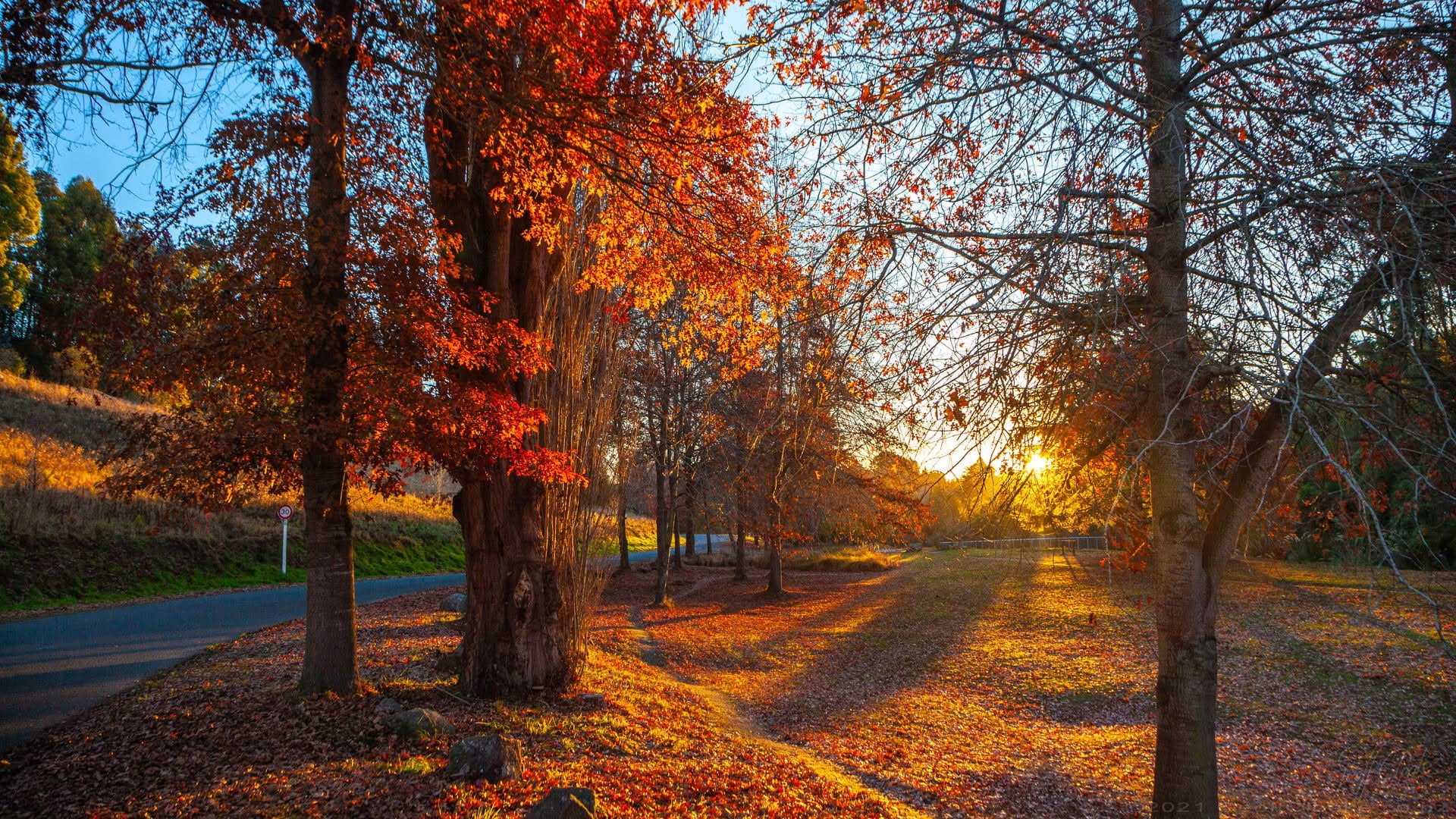Autumn at Centennial Park Scenic Reserve Geoff Cloake 2021
