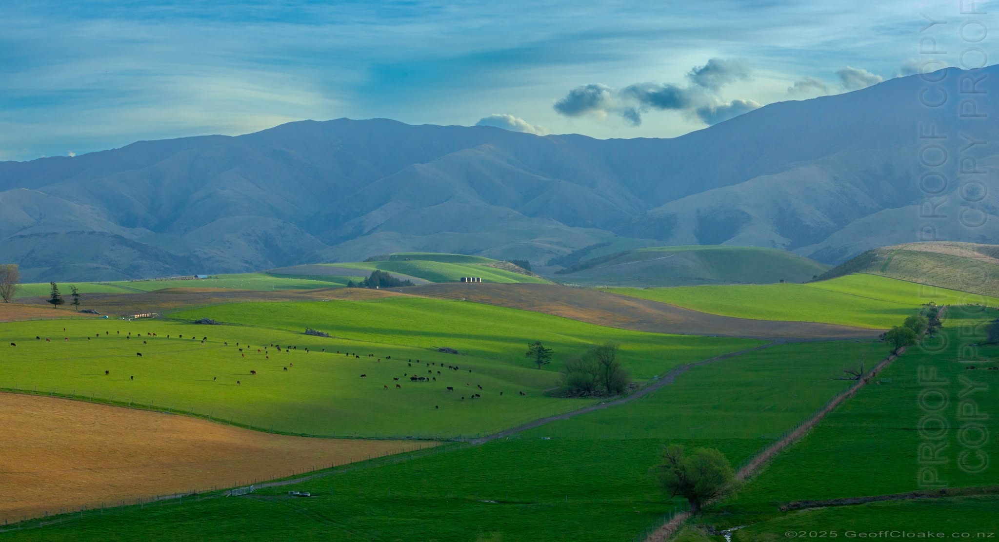 Farmland at Maungati 2025 Photo Geoff Cloake