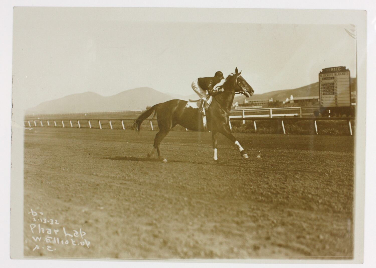 photograph phar lap jockey bill elliot agua caliente 1932 400109 medium