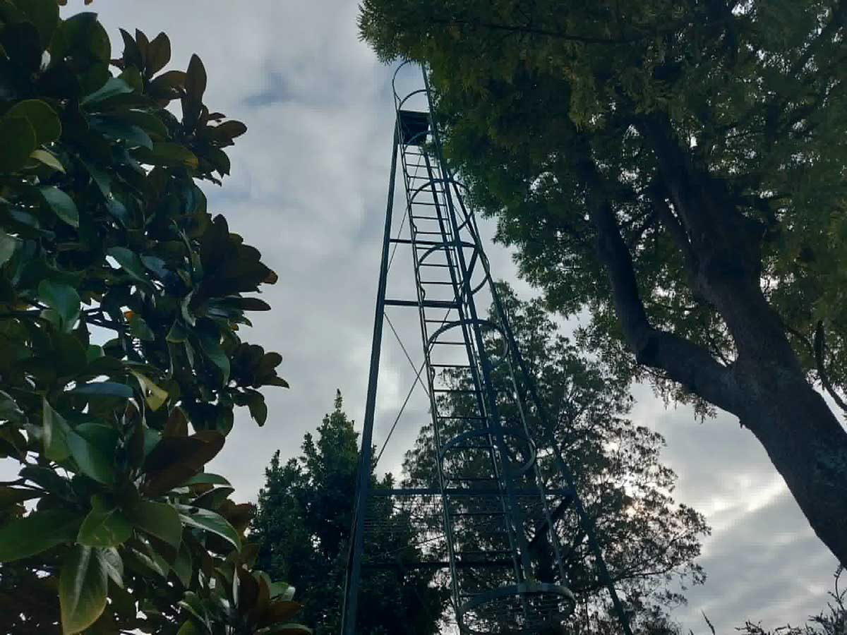 01 Sunshine Tower Timaru botanic Gardens R Fauth 2026
