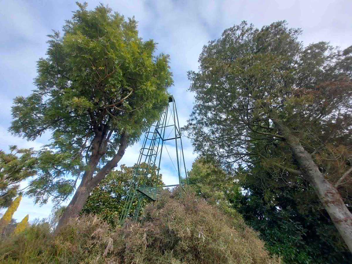 02 Sunshine Tower Timaru botanic Gardens R Fauth 2026