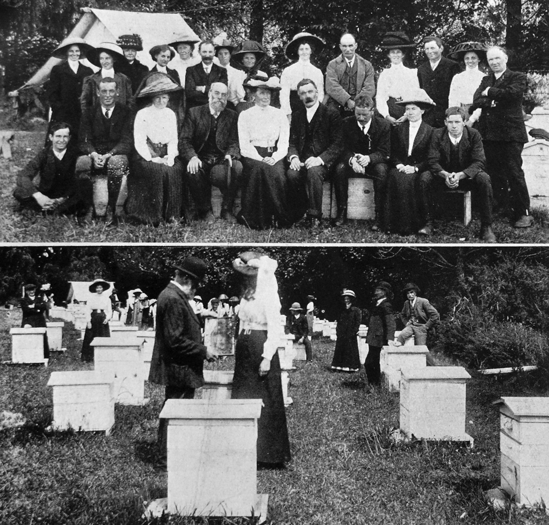 27 February 1912 Canterbury Bee Keepers Association 16346