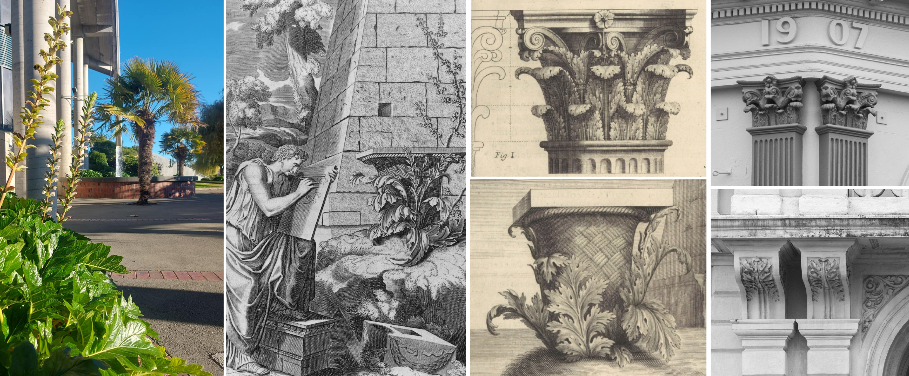 Acanthus and Timarus Corinthian Style WuHoo Timaru 250616 v2