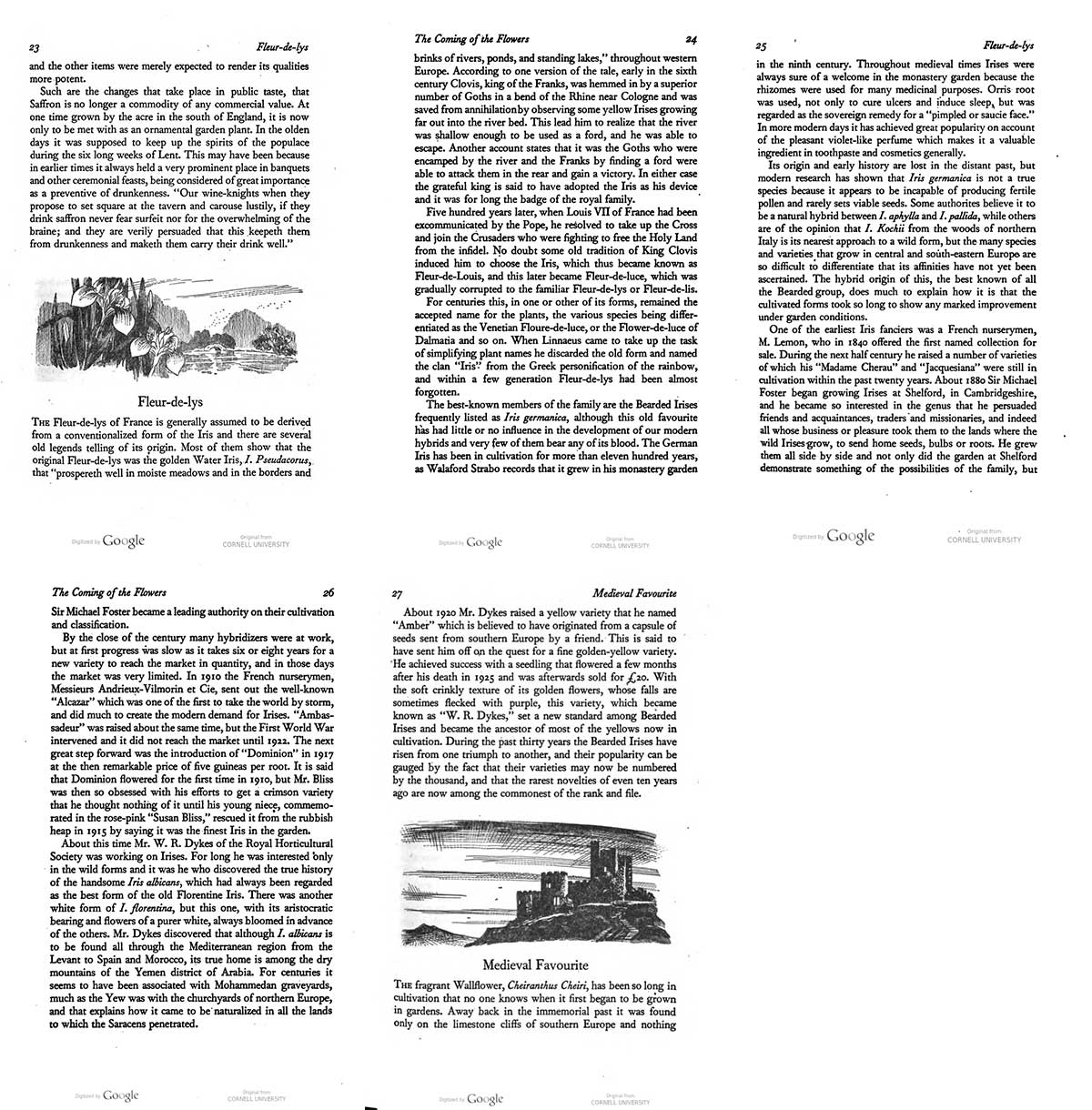 Andersons Book Chapter Fleur De Lis