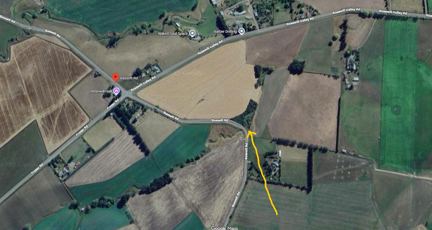 Bassett Road Rosewill Timaru