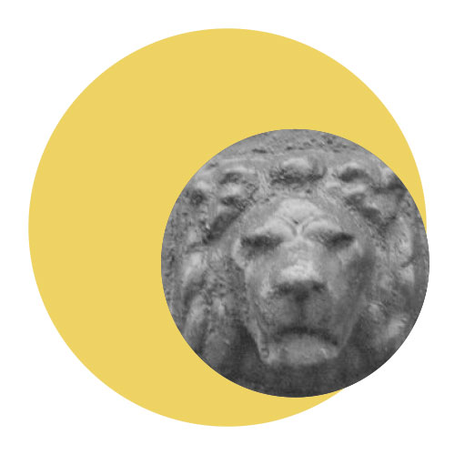 WuHoo CBD Hunt Empire Lions