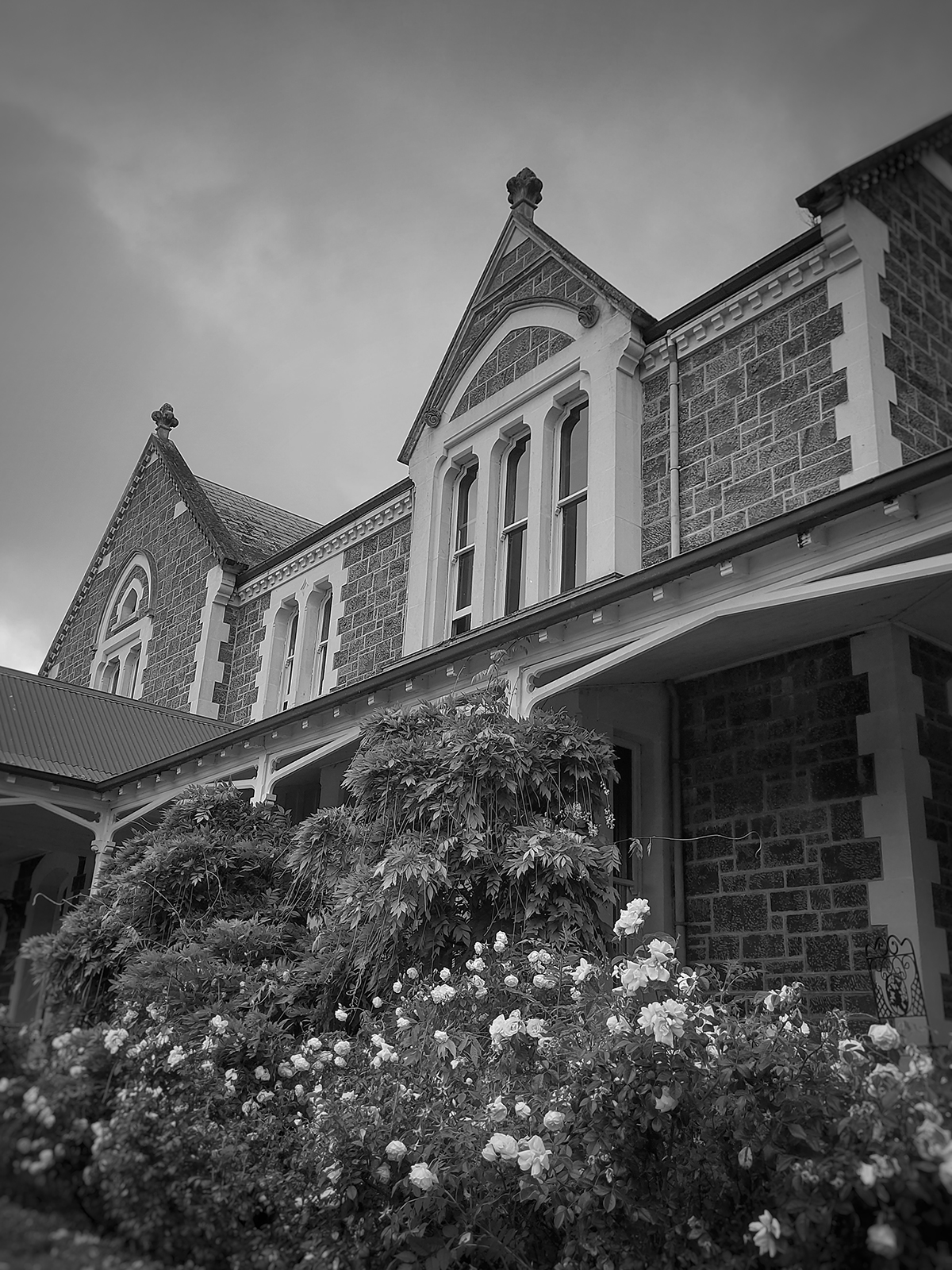 Castle Claremont Dec 12 2025 Photo Roselyn Fauth 140048