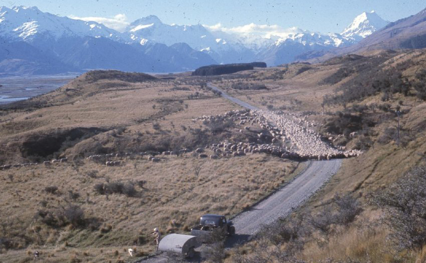 Catherine Burnett Mount Cook Station South Canterbury Museum 2015184182