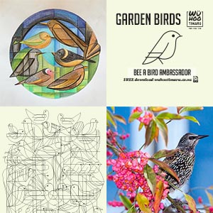 WuHoo Colourful Fact Sheets Introduced Birds Advert 200414