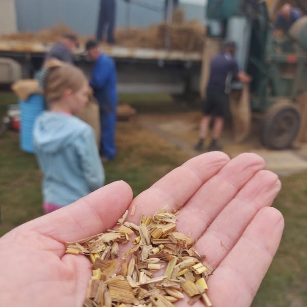 Cutting Chaff Kyle Park Demonstration 25 May 2025 5