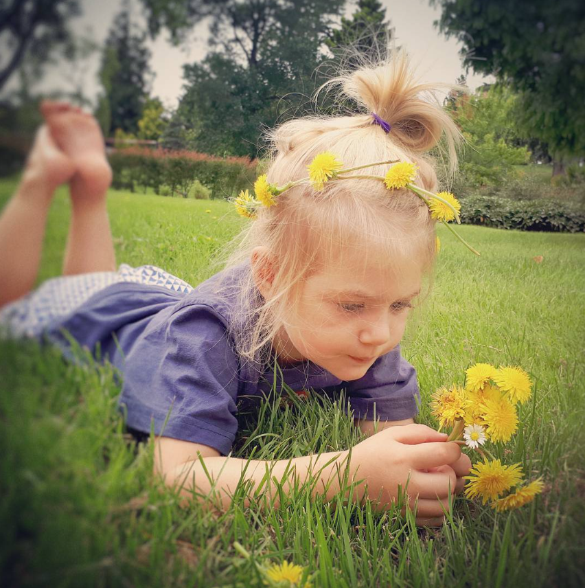 Daisy Chain at the Timaru Botanic Gardens