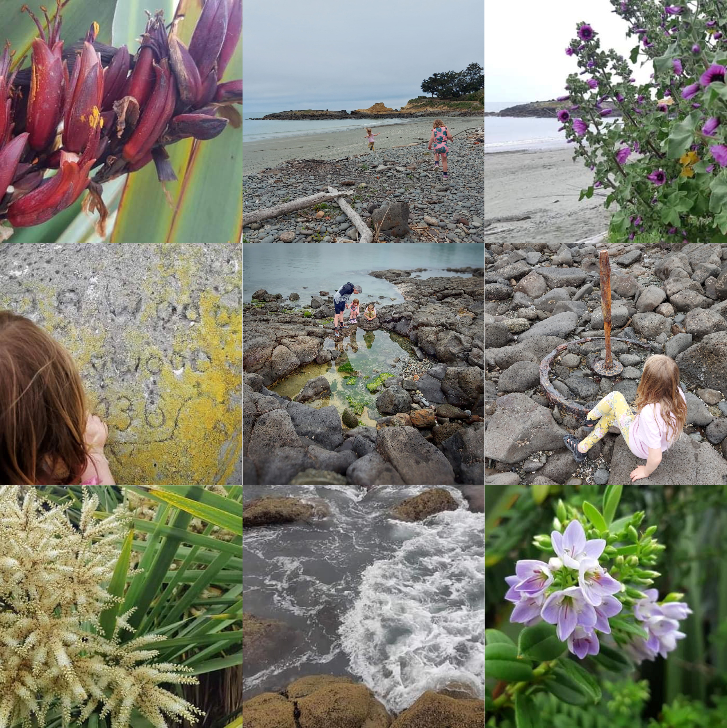 Dashing Rocks Exploring WuHoo Timaru 2021 Roselyn Fauth Montage