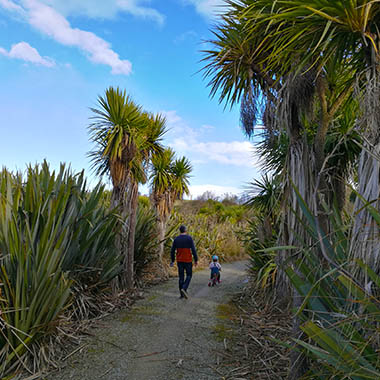FRIENDS Wetlands 380px