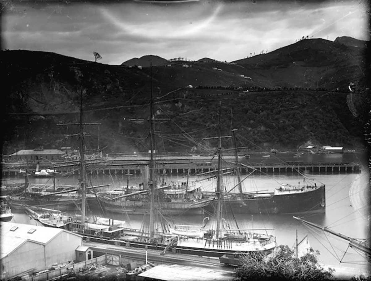 Williams, William, 1858-1949. The SS Fifeshire and other ships berthed at Port Chalmers. Williams, Edgar Richard, 1891-1983: Photographs and papers. Ref: 1/1-025516-G. Alexander Turnbull Library, Wellington, New Zealand. /records/22433460