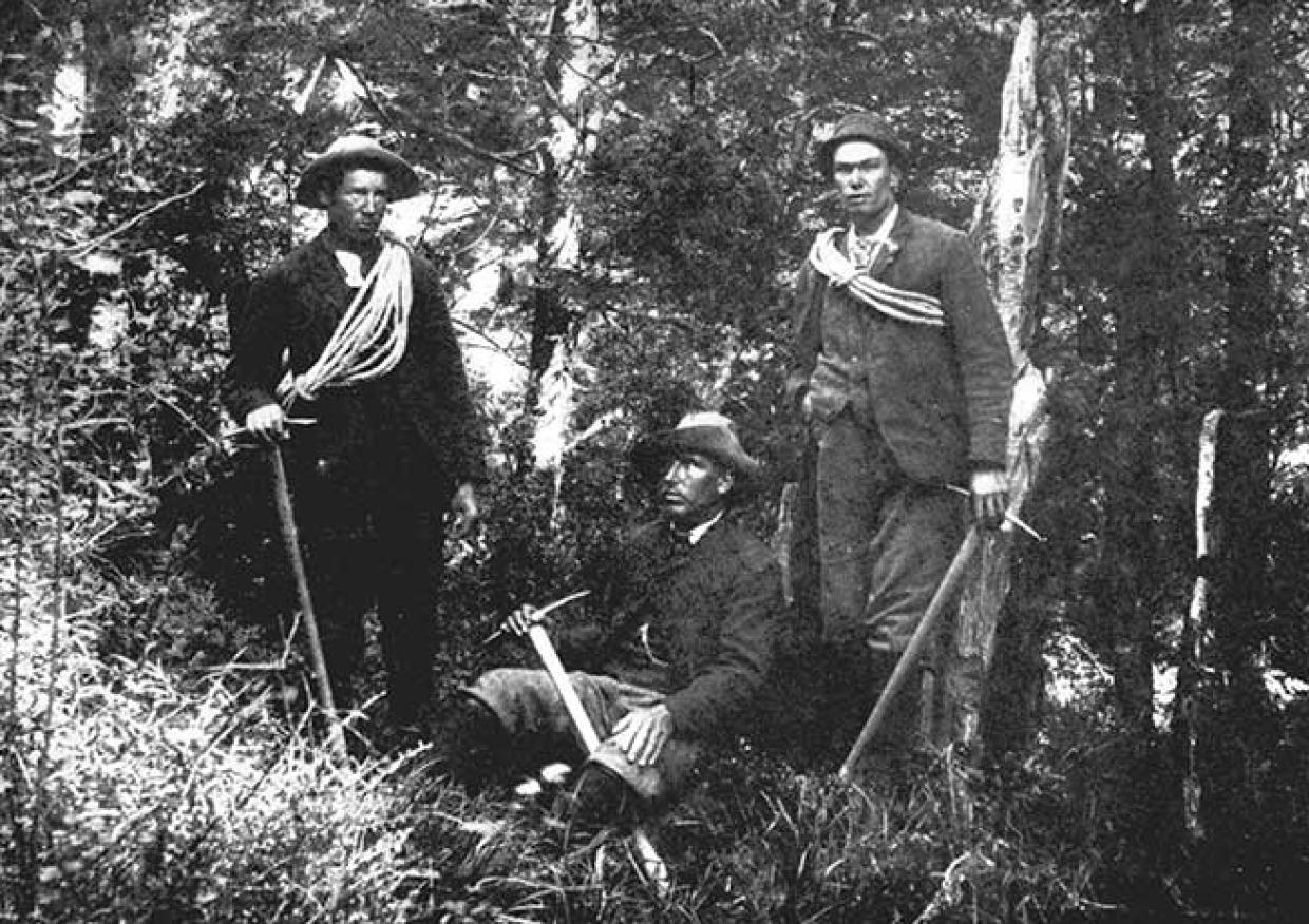 Fyfe to climb Aoraki Mt Cook