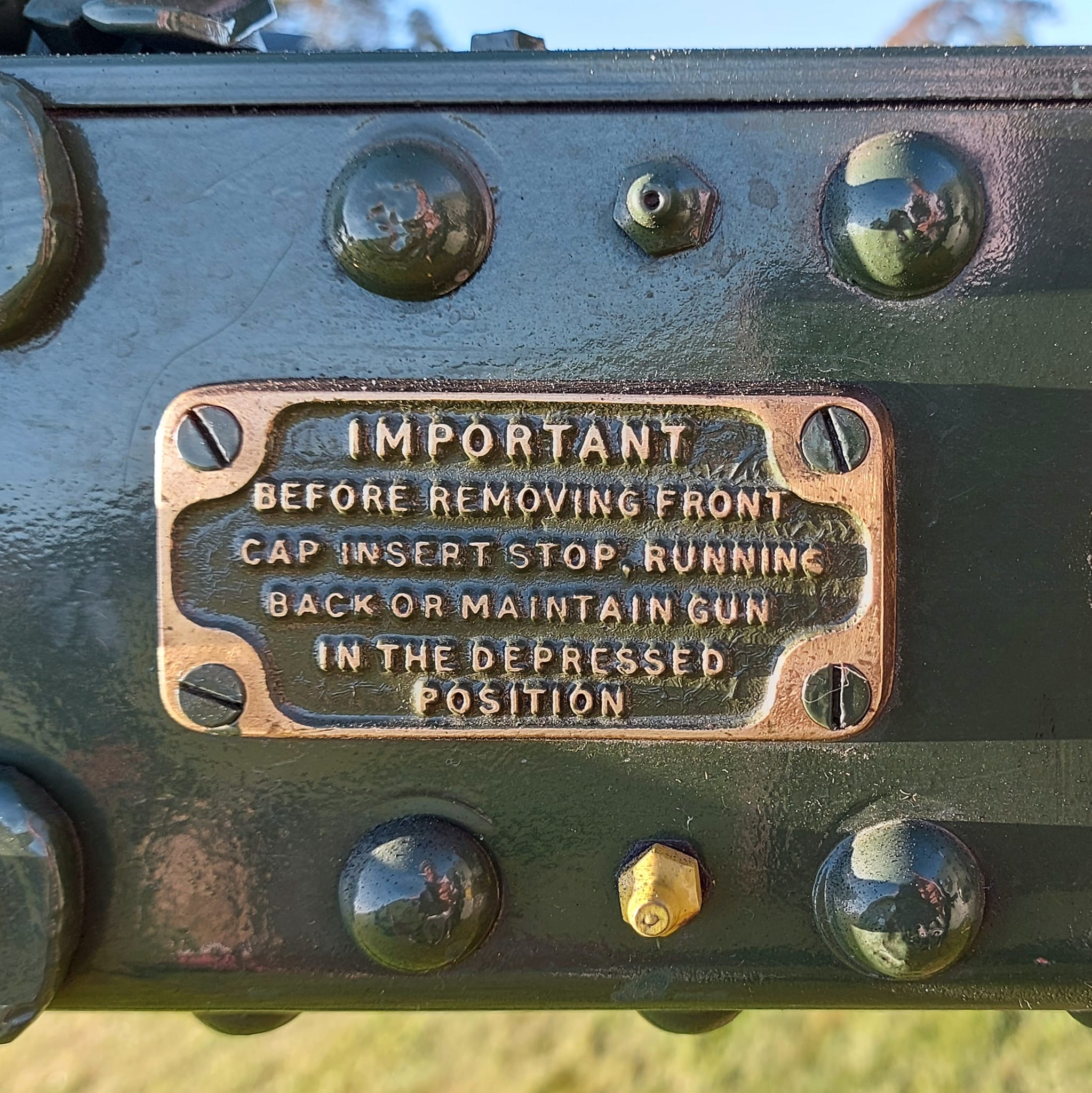 Happy Birthday Queen Elizabeth gun salute WuHoo Timaru Roselyn Fauth 2