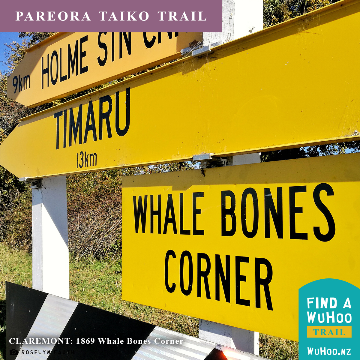HeritageTrail Logo PareoraTaikoTrail CLAREMONT_1869_Whale_Bones_Corner_7