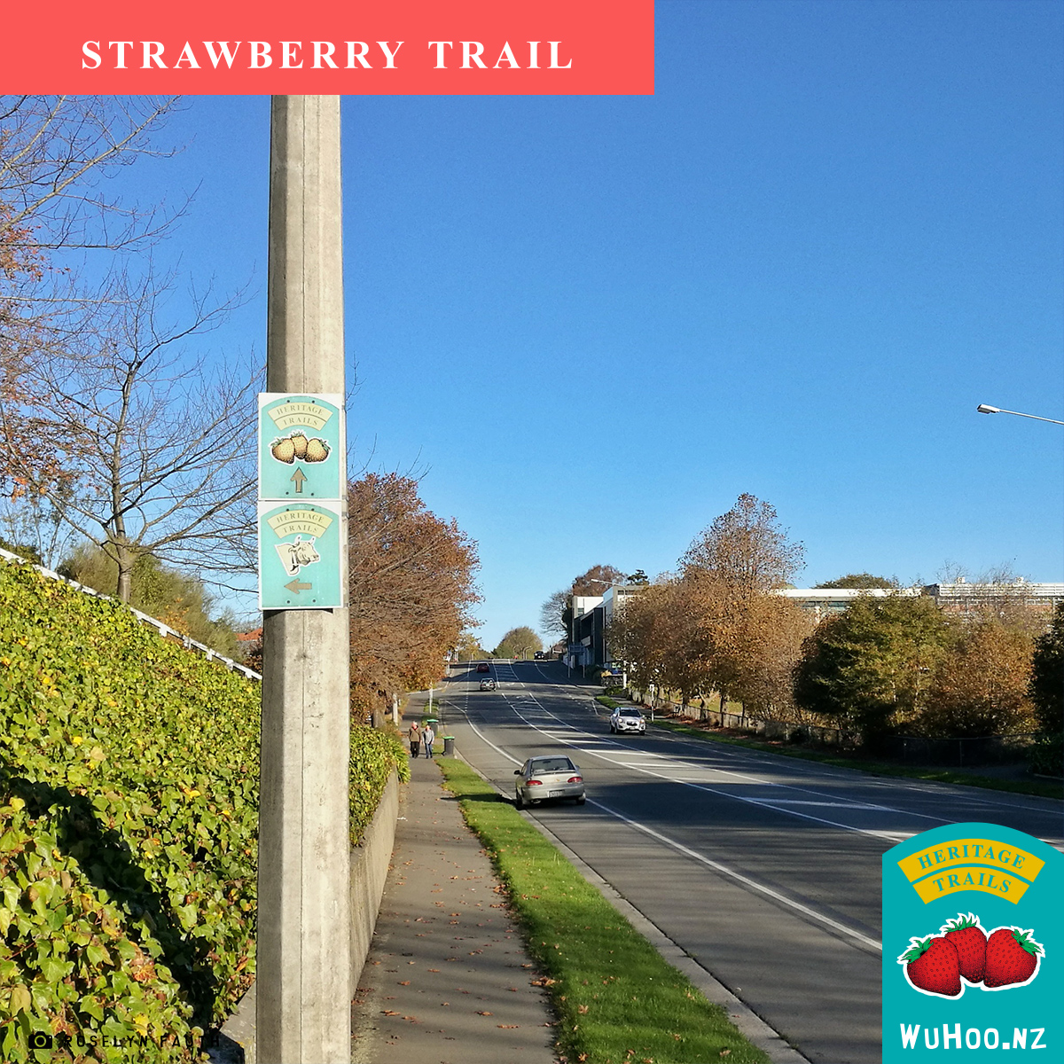 HeritageTrail Logo Watermark Strawberry TimaruHighwaySign 2
