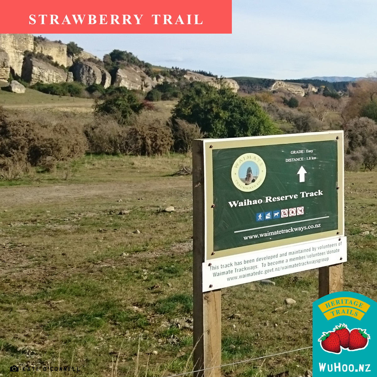 HeritageTrail Strawberry 6000 WaihoReserve