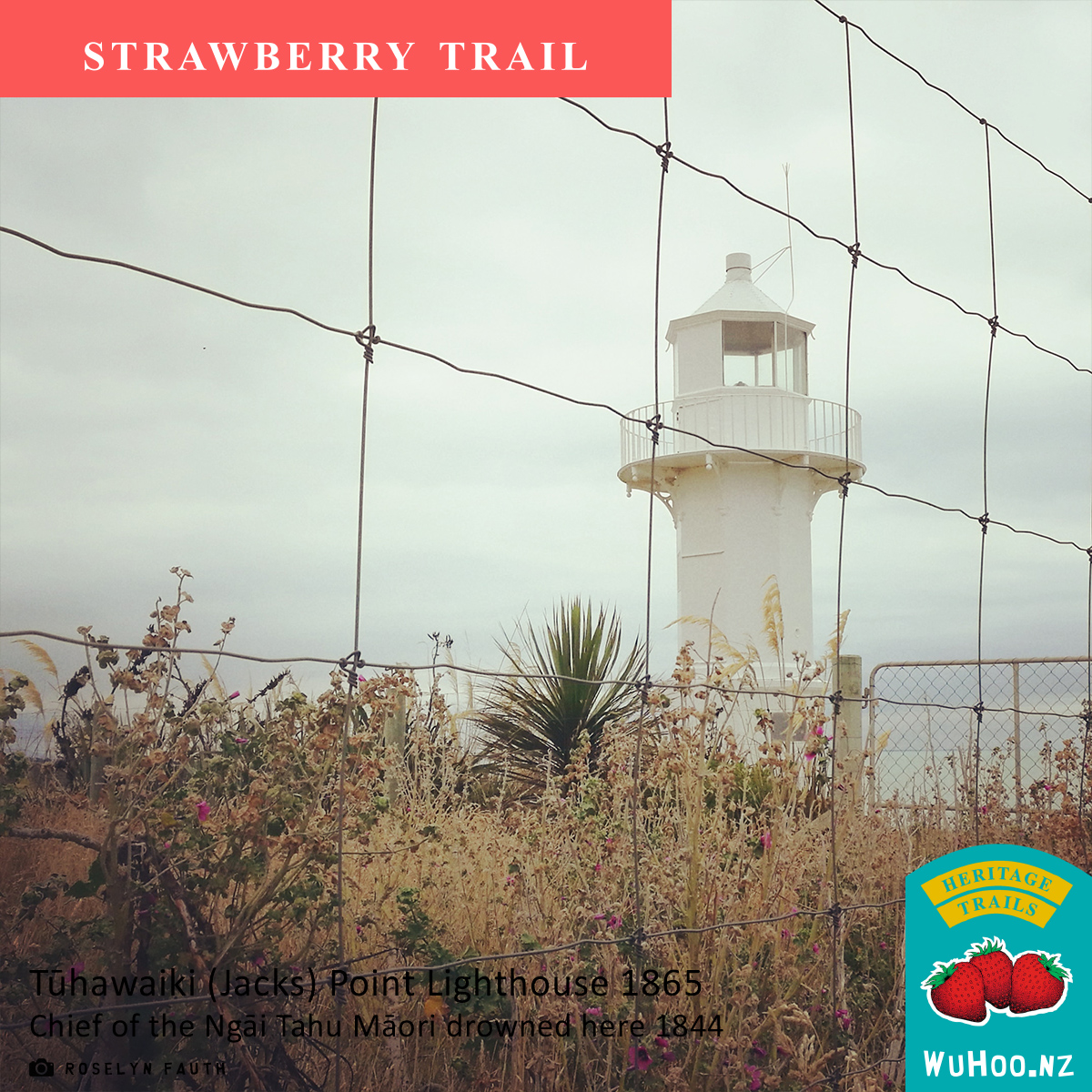 HeritageTrail Strawberry Sign 0053