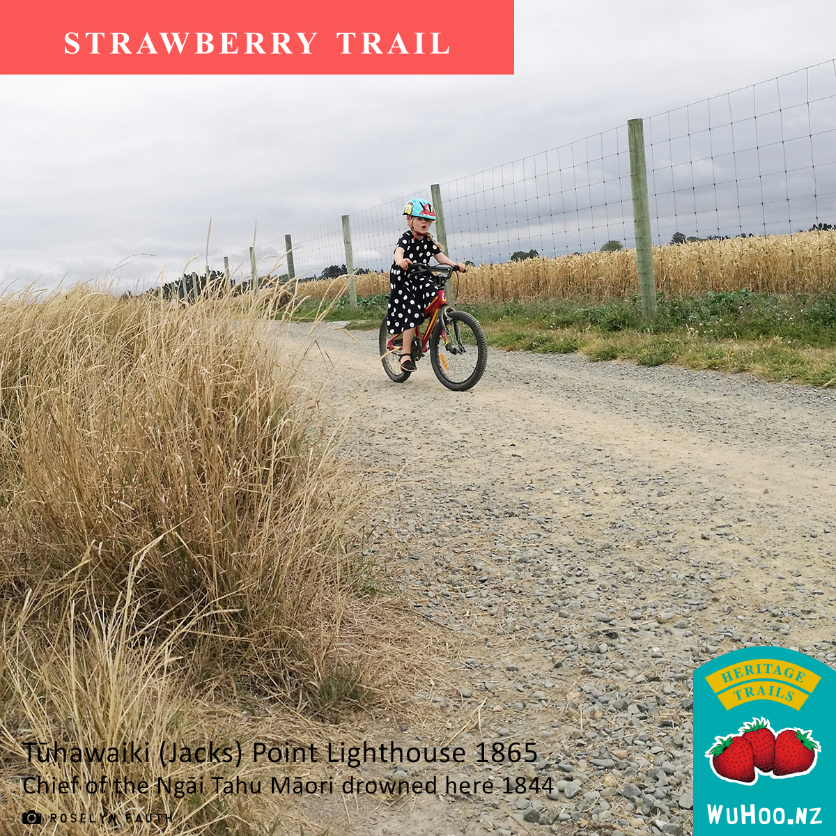 HeritageTrail Strawberry Sign 0089