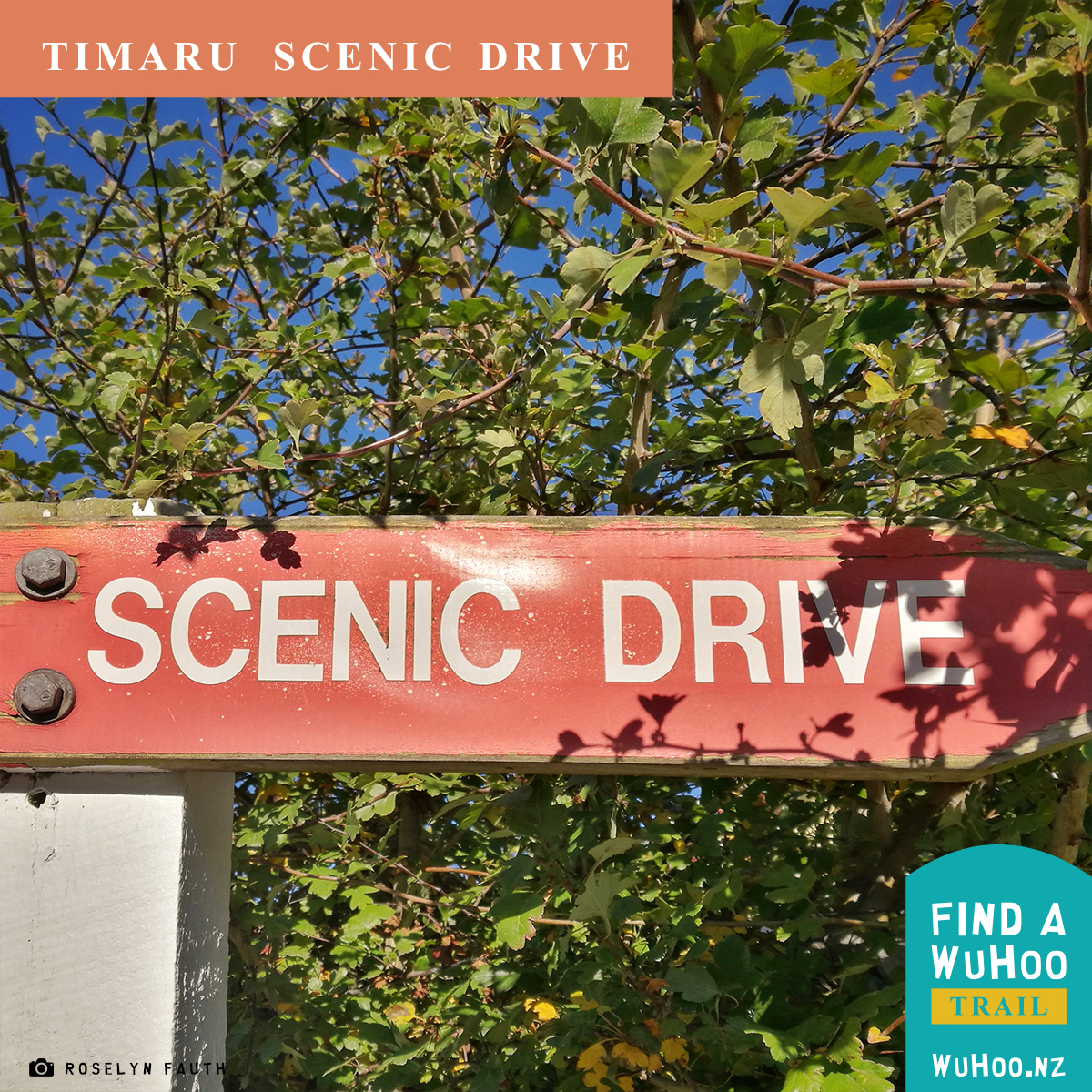 WuHooTrail Logo TimaruScenicDrive