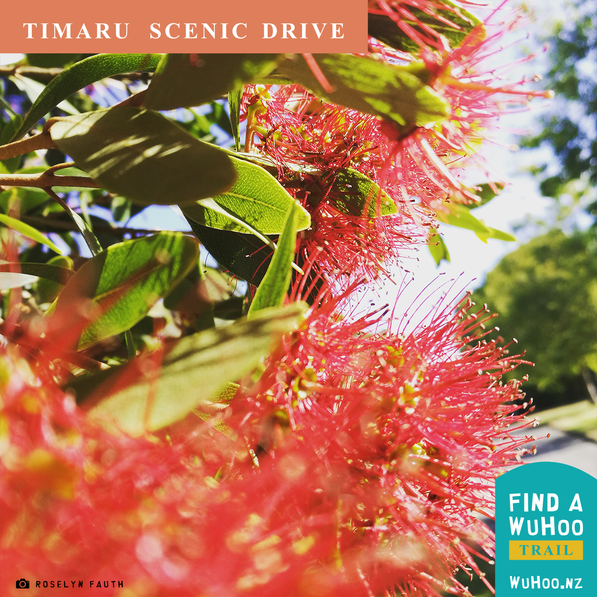 WuHooTrail TimaruScenicDrive 100