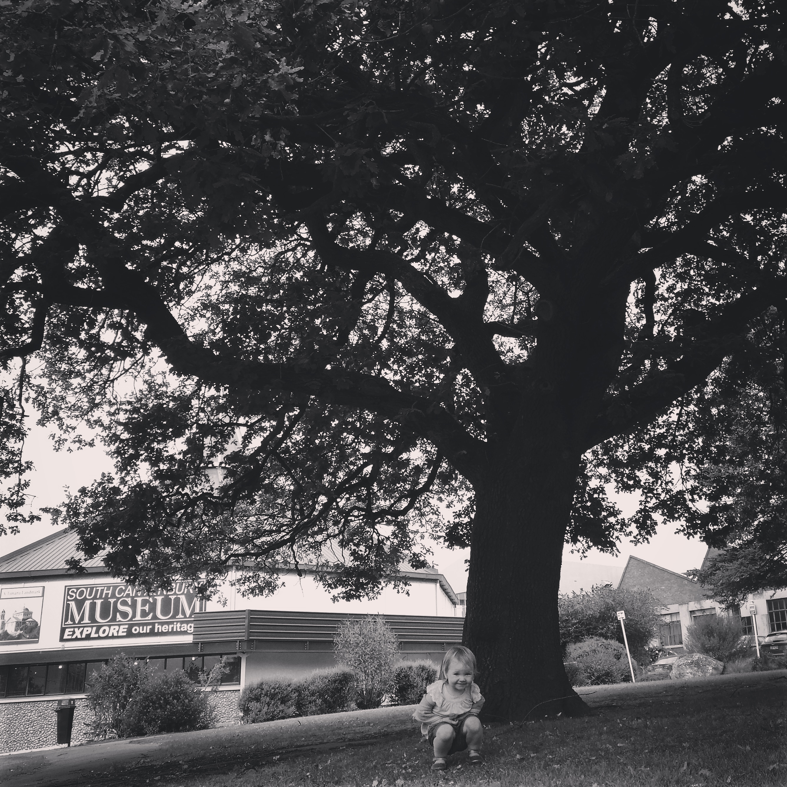 WuHoo Timaru Burnett Oak