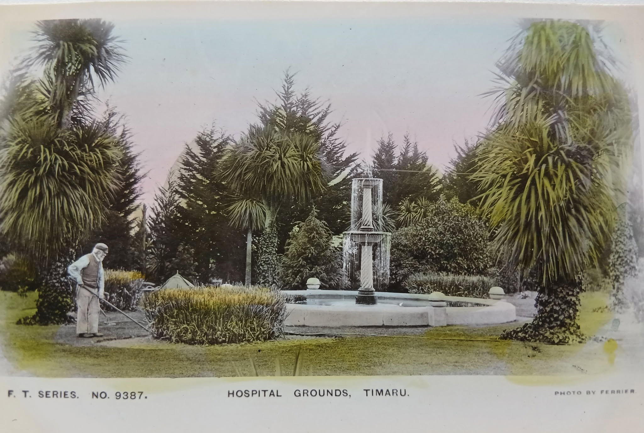 Hospital Grounds Timaru Photo by Ferrier FT Series No 9387