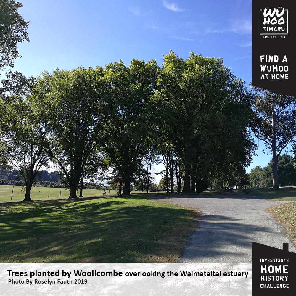 WuHoo InvestigateYourHomeChallenge WoolcombesHouse AshburyPark 070 WoollcombeTrees2