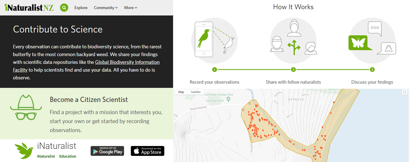 INaturalist