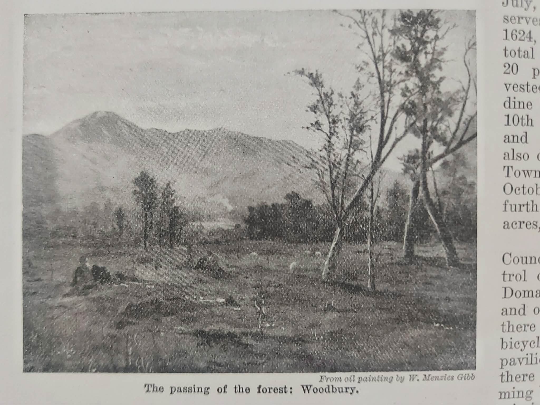 Jubilee History of Souyth Canterbury page 550 The passing of the Forest in Woodbury
