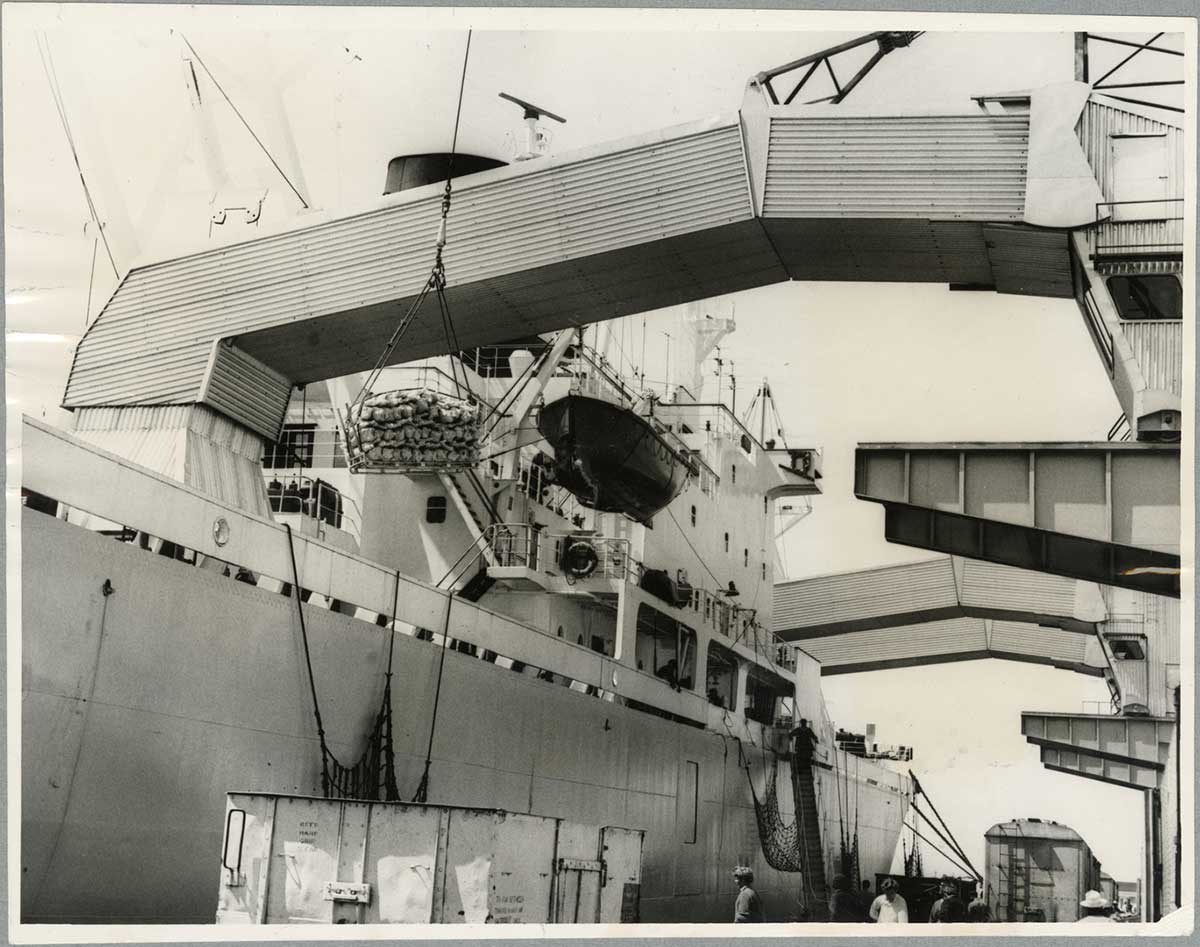 Loading meat for export into the Tekoa cargo ship at Timaru Port using the sling method