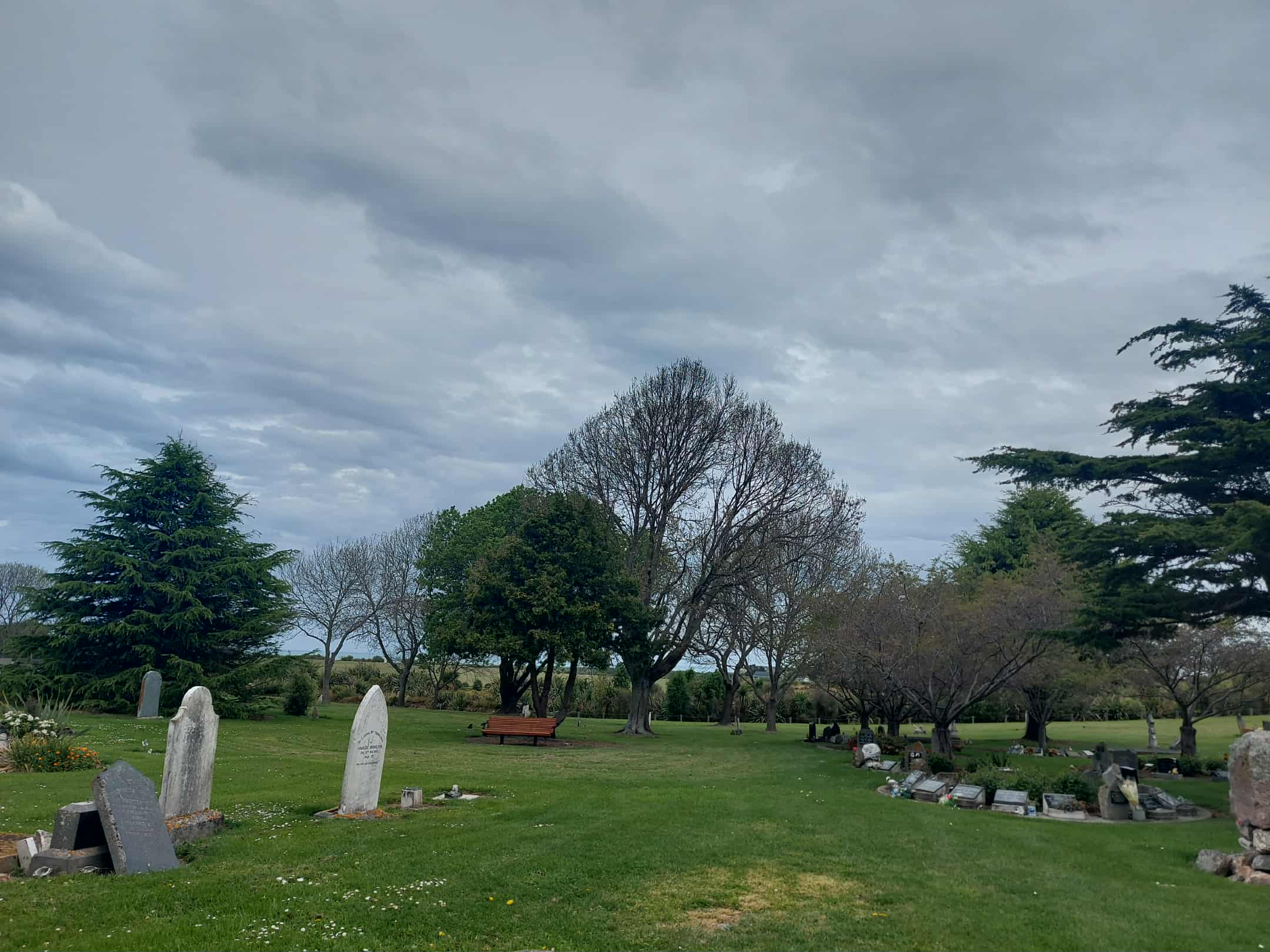 Looking to the Free Ground area at the Timaru Cemetery