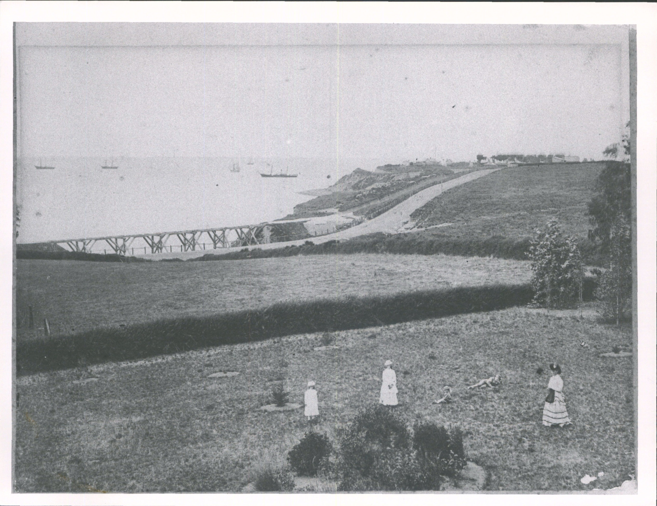 Looking towards the sea near Timaru 1871 1875 Hocken Digital Collections