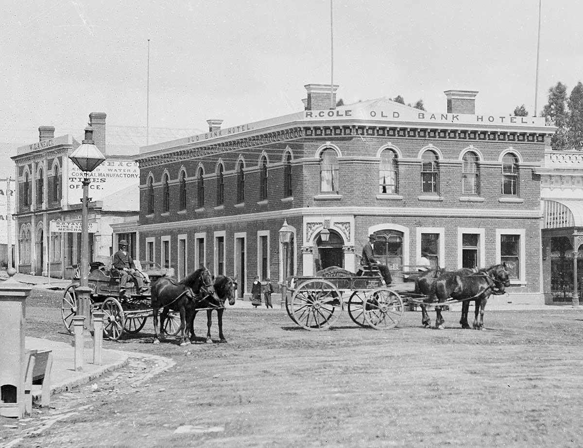 MA I239838 TePapa Timaru crop