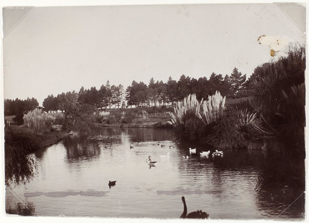 MA I244904 TePapa Gardens Timaru preview