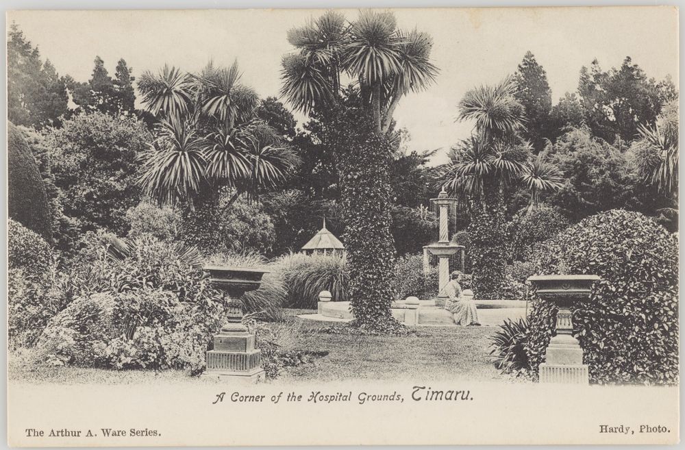 MA I412597 TePapa A Corner of the Hospital preview