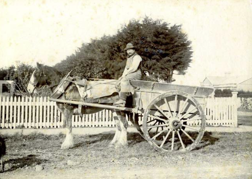 Mr Hollander the night soil man for the Dunedin in 1912