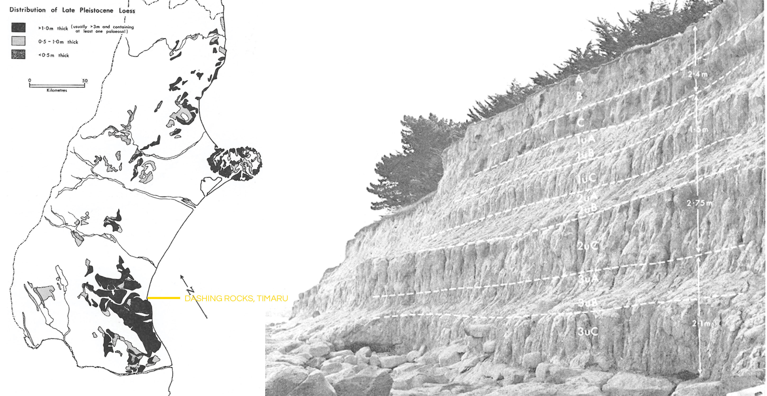 Nature and distribution of loess in Canterbury New Zealand p8