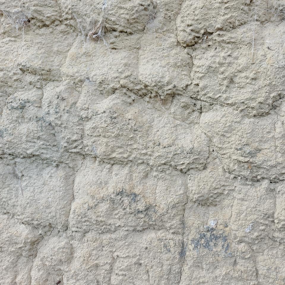 Patersons Cottage By Roselyn Fauth 7