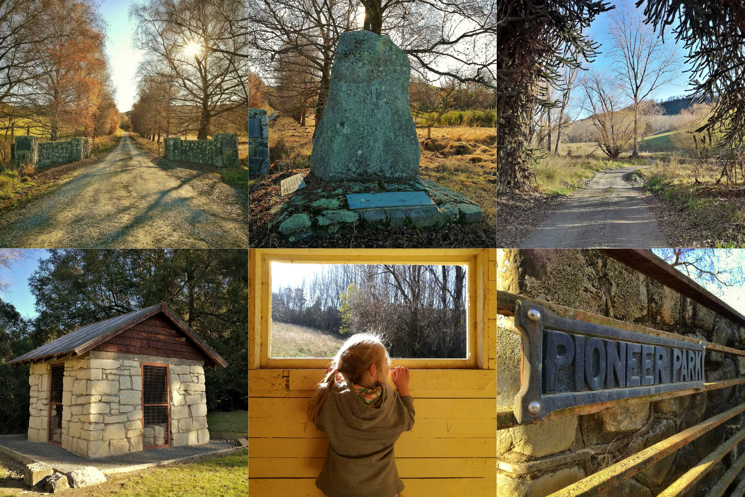 Pioneer Park Conservation Area Trees Trails and History WuHoo Timaru Roselyn Fauth 2022 Montage