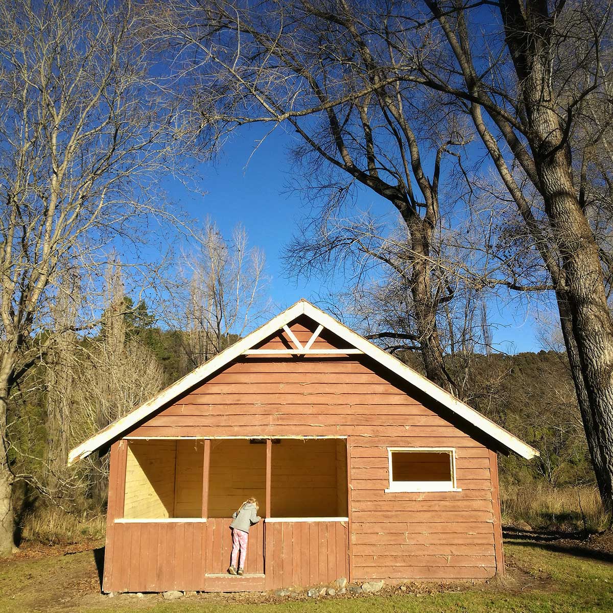 Pioneer Park Conservation Area Trees Trails and History WuHoo Timaru Roselyn Fauth 2022 