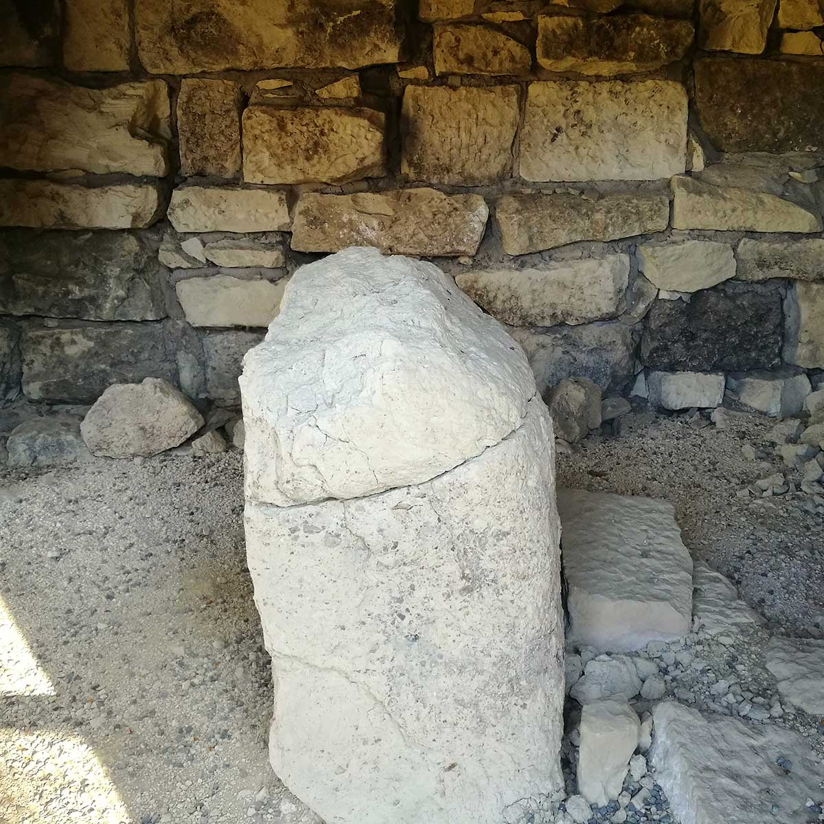 Pioneer Park Conservation Area Trees Trails and History WuHoo Timaru Roselyn Fauth 2022 3