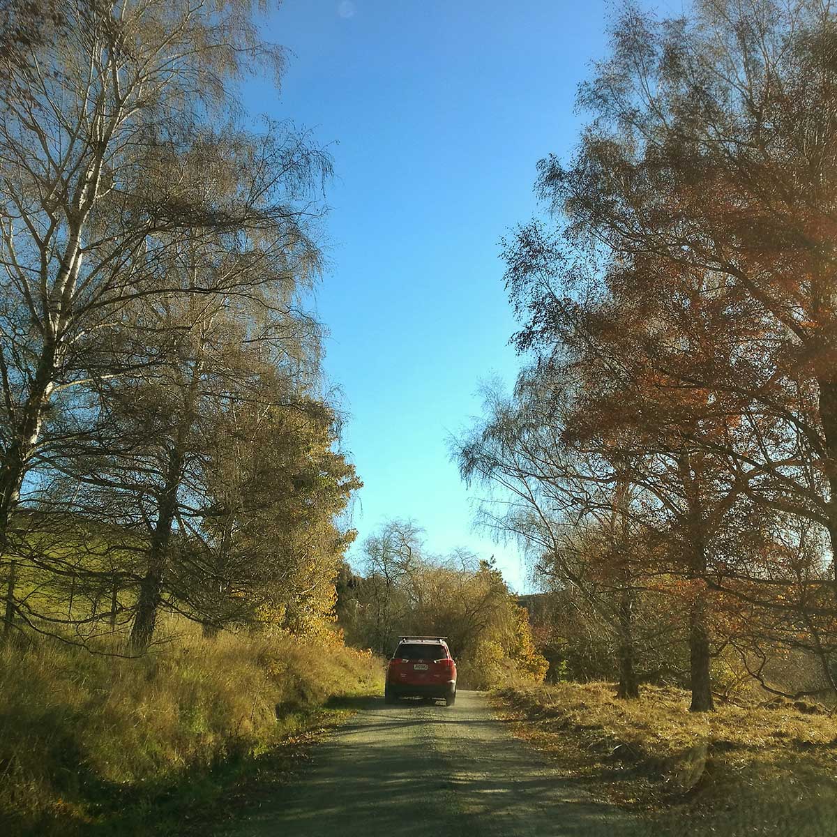 Pioneer Park Conservation Area Trees Trails and History WuHoo Timaru Roselyn Fauth 2022 