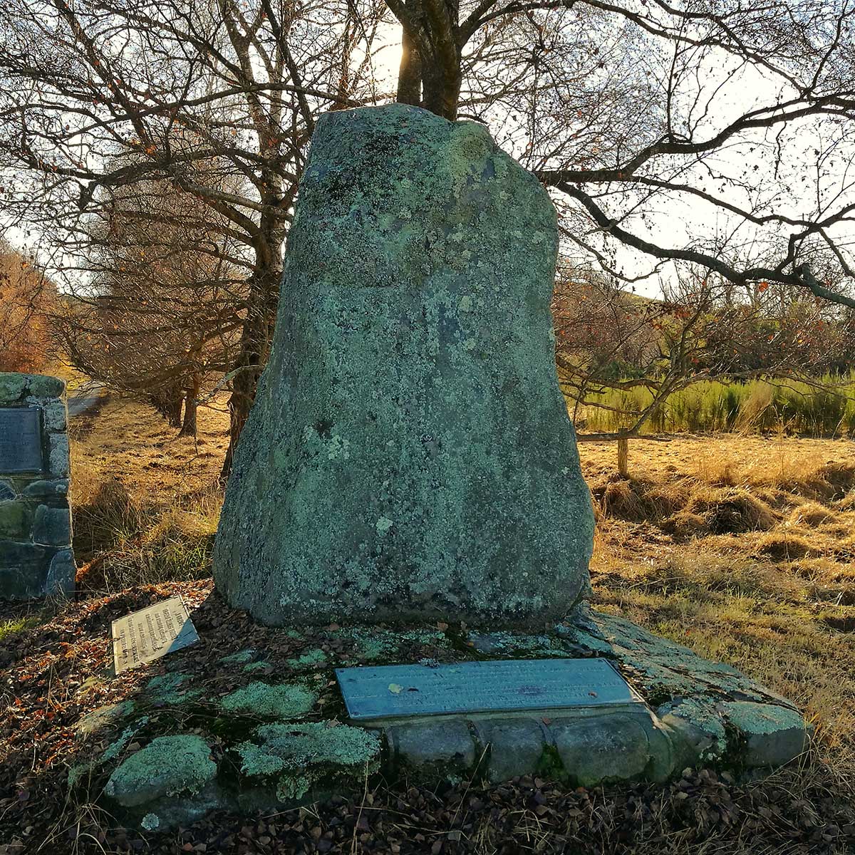 Pioneer Park Conservation Area Trees Trails and History WuHoo Timaru Roselyn Fauth 2022 
