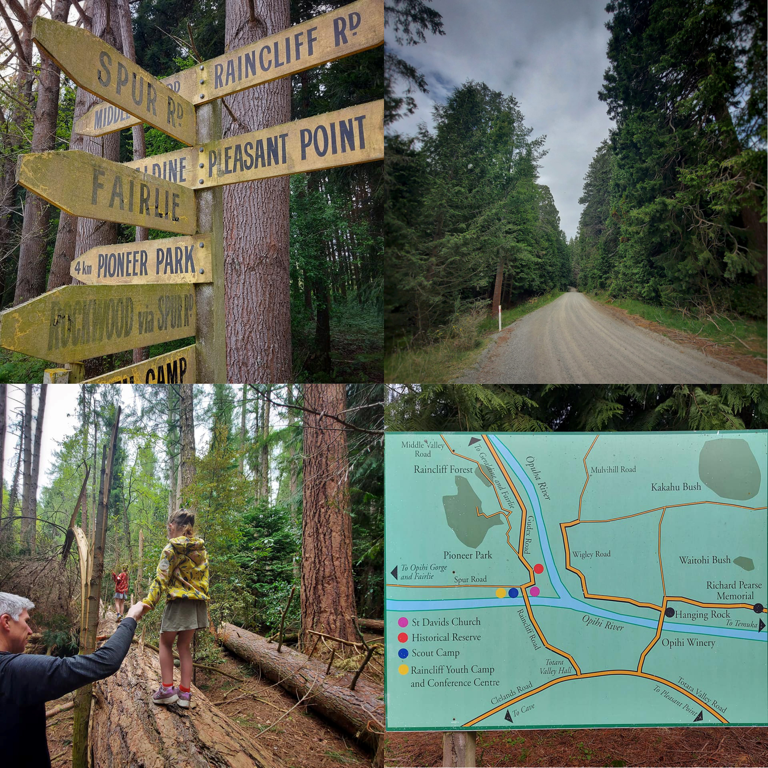 Raincliff Forest Roselyn Fauth