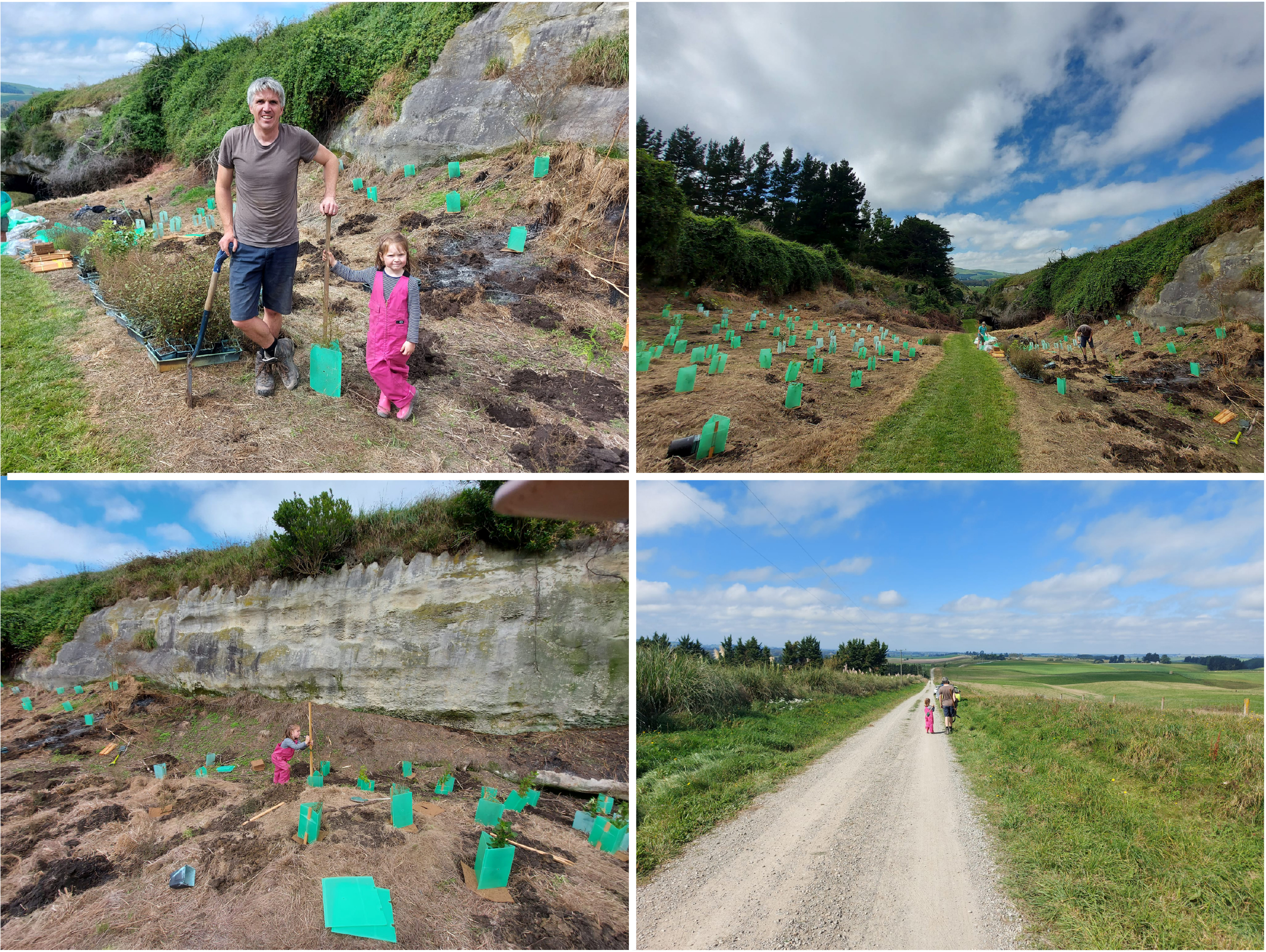 Opihi Rock Art WuHoo Timaru Rock Art Trail